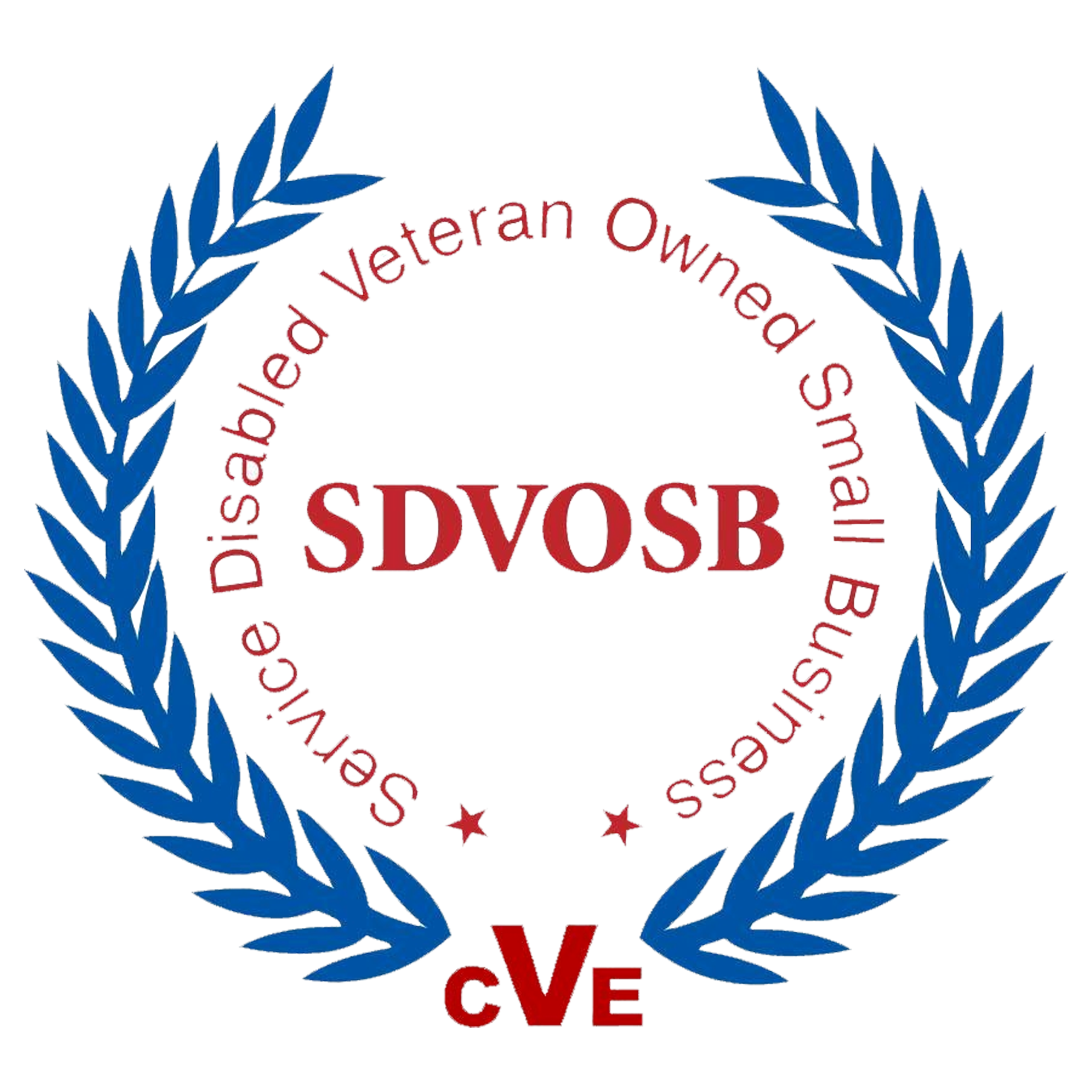 sdvosb logo color